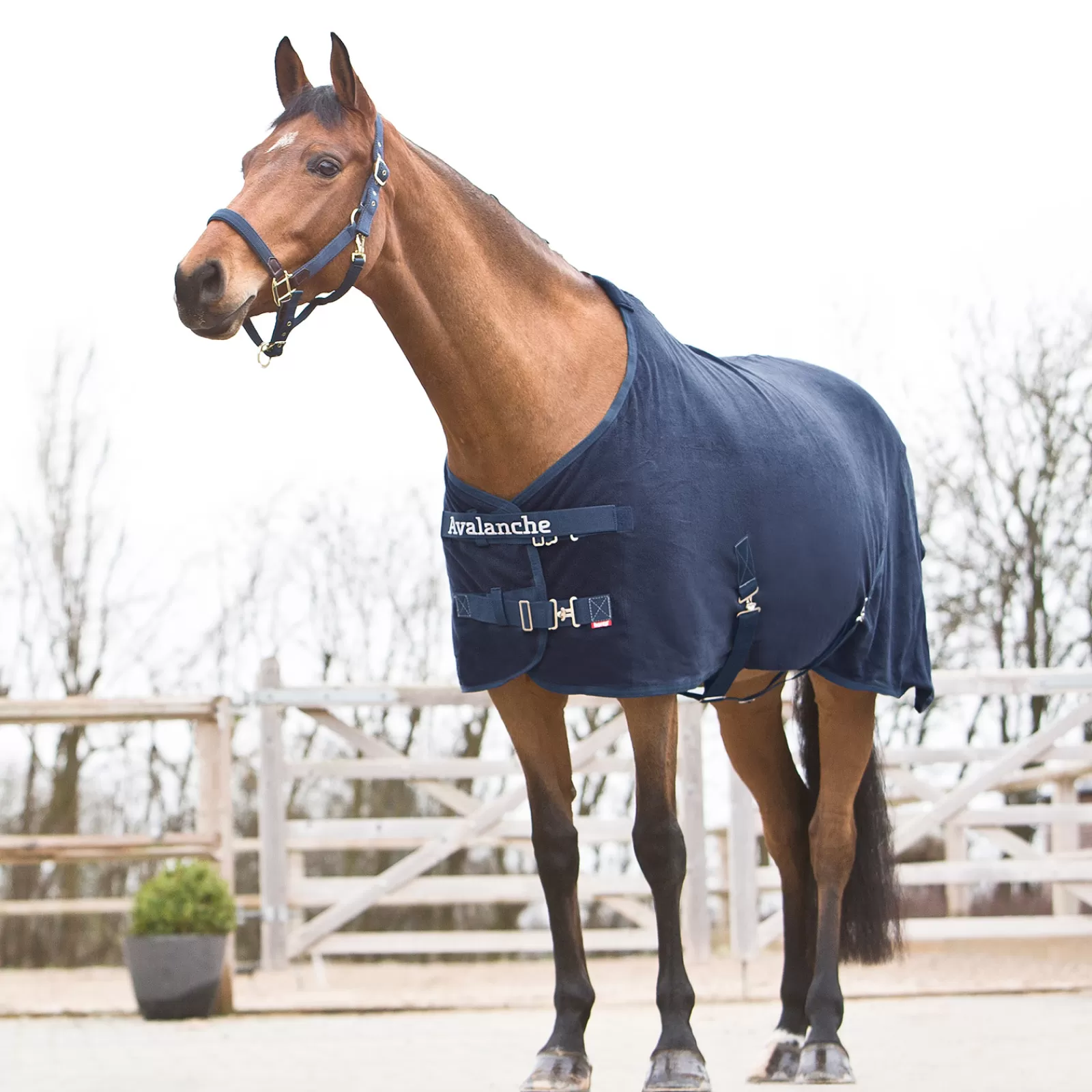 horze Avalanche Fleece Cooler> Fleece Horse Rugs & Cooler Rugs