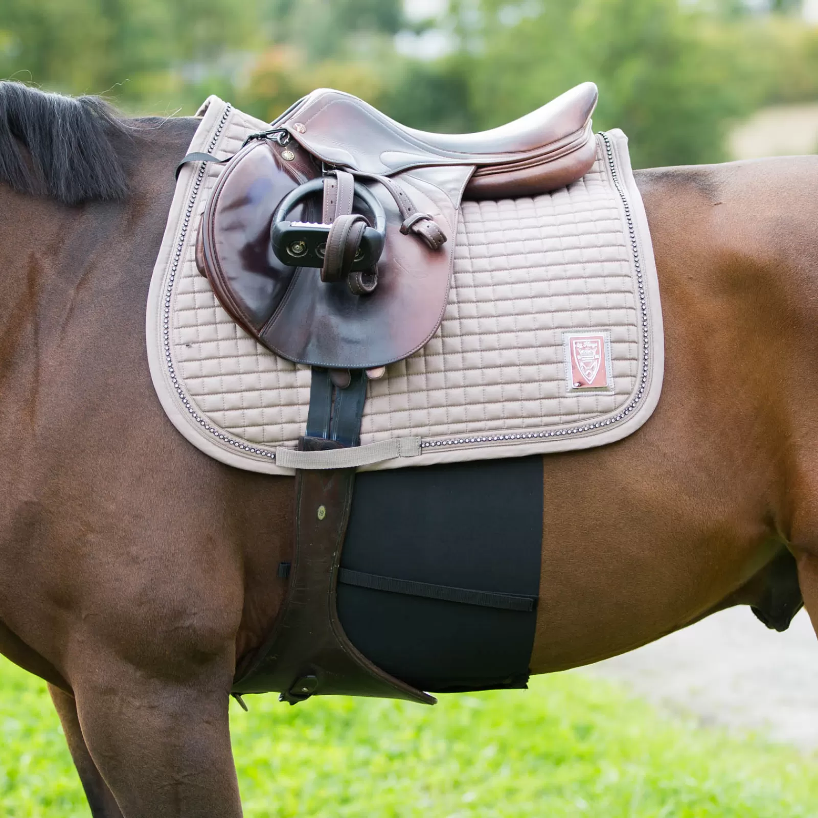 horze Elastic Belly Guard> Girths
