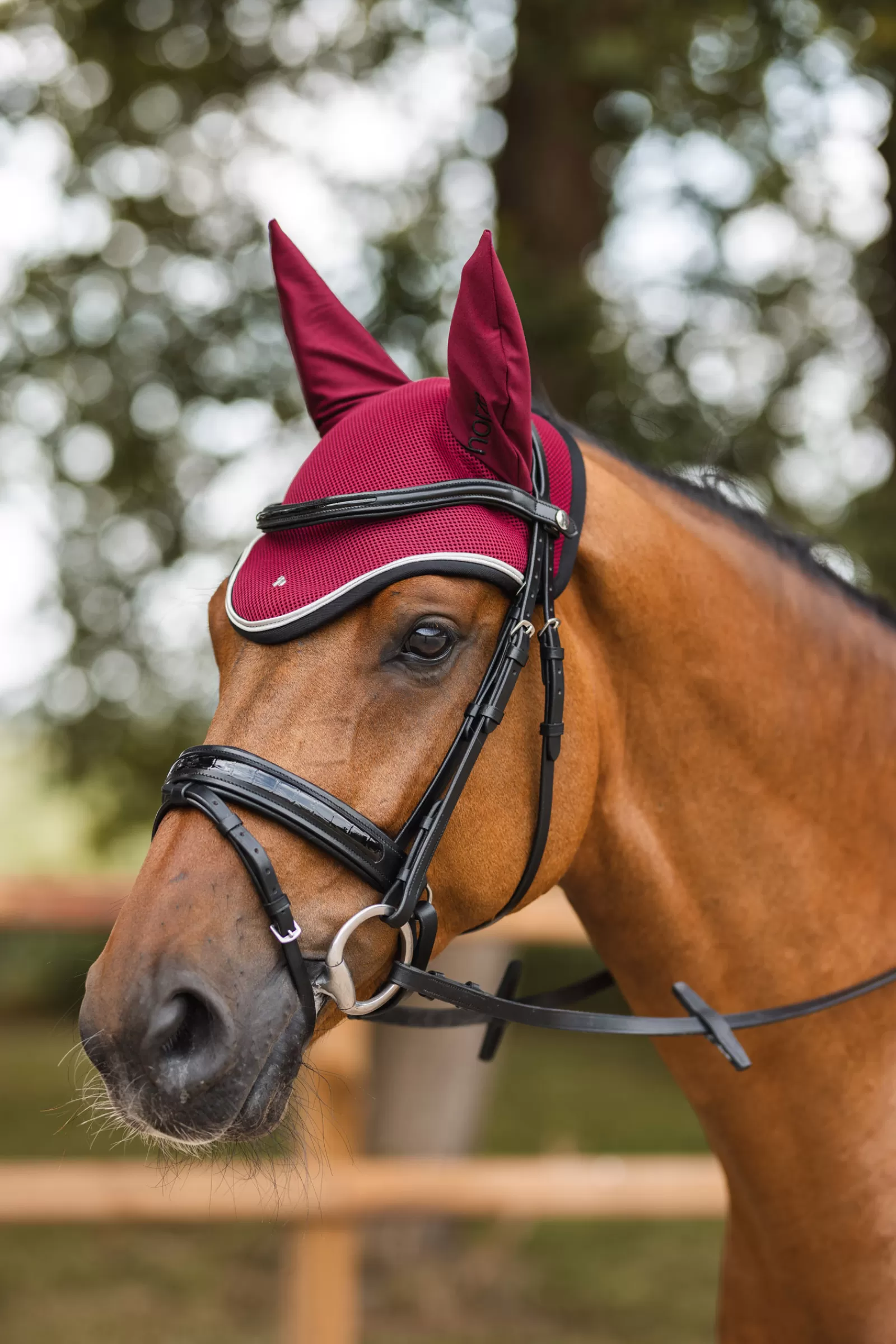 horze Smoky Twilight Ear Net> Ear Bonnets & Fly Veils
